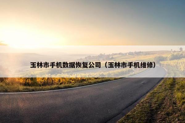 玉林市手机数据恢复公司（玉林市手机维修）