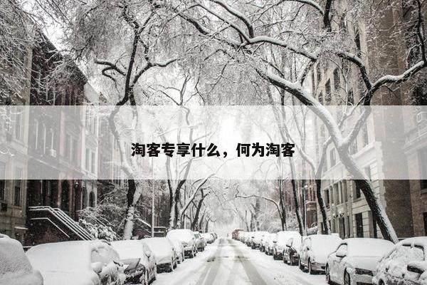 淘客专享什么，何为淘客