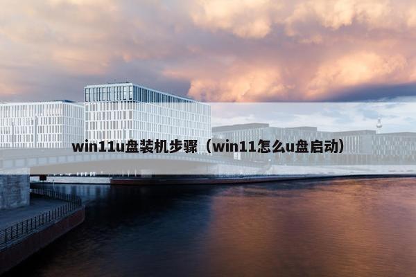 win11u盘装机步骤（win11怎么u盘启动）