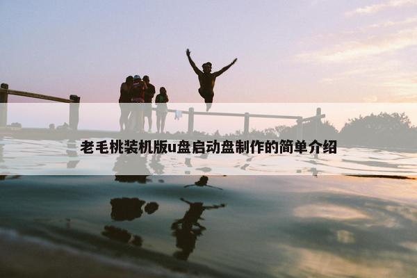老毛桃装机版u盘启动盘制作的简单介绍