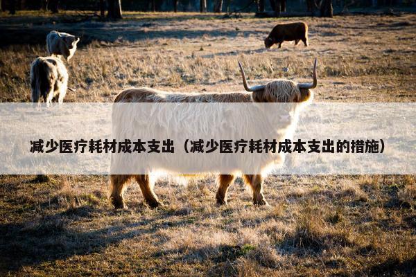 减少医疗耗材成本支出（减少医疗耗材成本支出的措施）