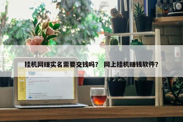 挂机网赚实名需要交钱吗？ 网上挂机赚钱软件？