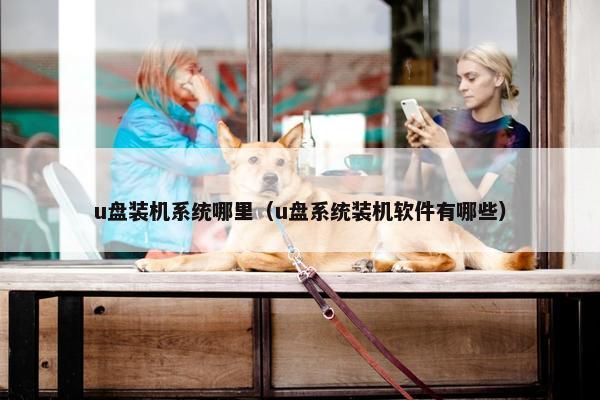 u盘装机系统哪里（u盘系统装机软件有哪些）