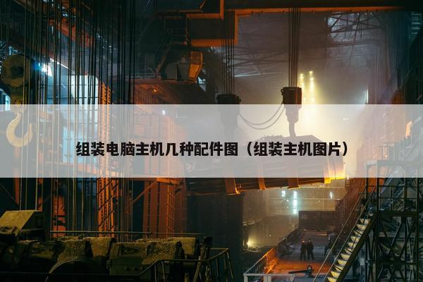 组装电脑主机几种配件图（组装主机图片）