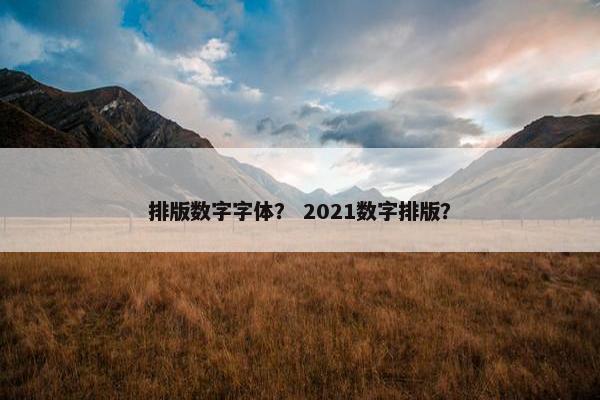 排版数字字体？ 2021数字排版？