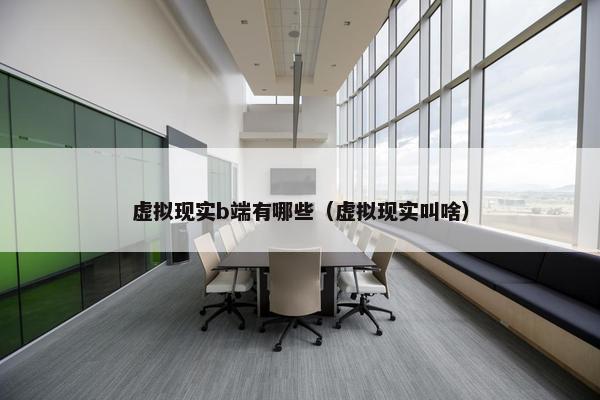 虚拟现实b端有哪些（虚拟现实叫啥）