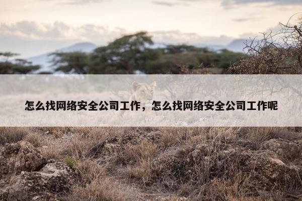 怎么找网络安全公司工作，怎么找网络安全公司工作呢