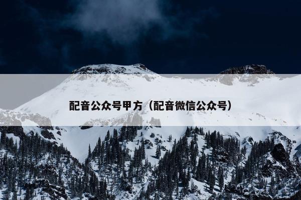 配音公众号甲方（配音微信公众号）