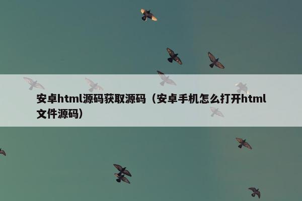 安卓html源码获取源码（安卓手机怎么打开html文件源码）