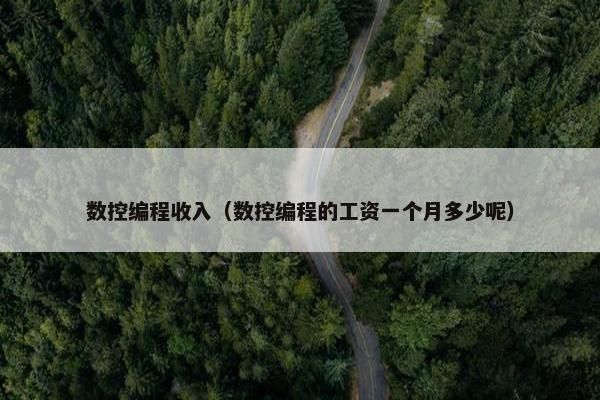 数控编程收入（数控编程的工资一个月多少呢）