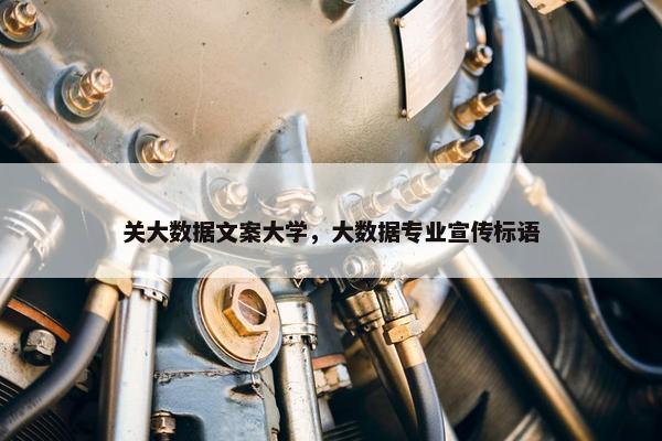 关大数据文案大学，大数据专业宣传标语