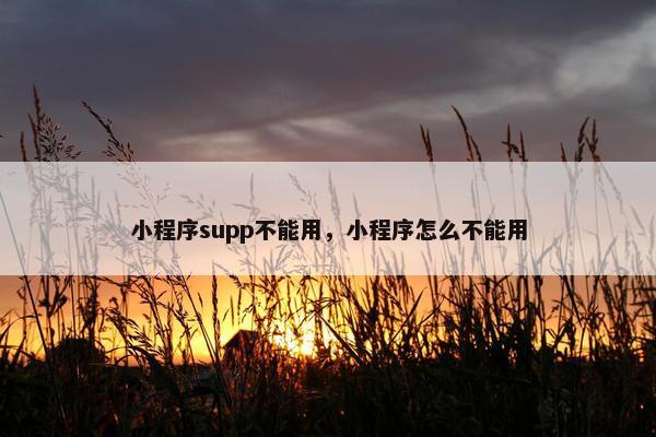 小程序supp不能用，小程序怎么不能用