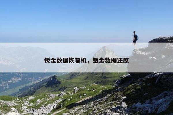 钣金数据恢复机，钣金数据还原
