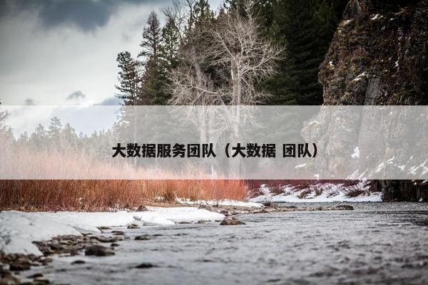 大数据服务团队（大数据 团队）