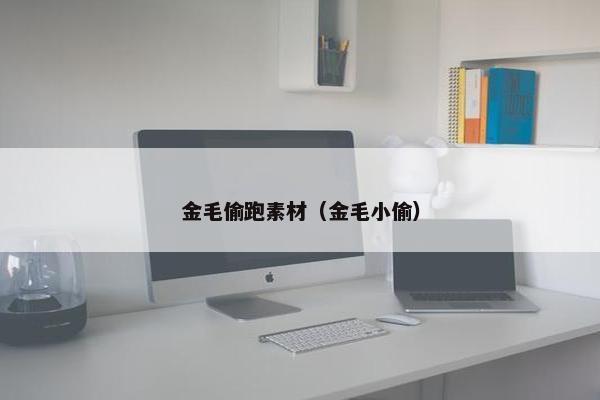 金毛偷跑素材（金毛小偷）