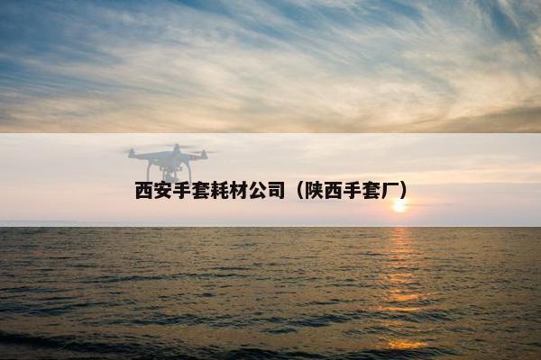 西安手套耗材公司（陕西手套厂）