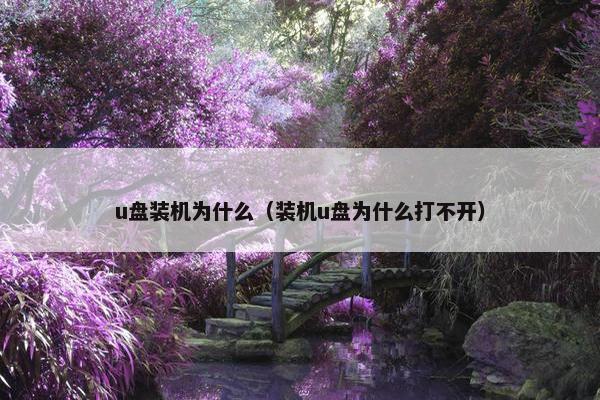 u盘装机为什么（装机u盘为什么打不开）