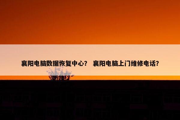 襄阳电脑数据恢复中心？ 襄阳电脑上门维修电话？