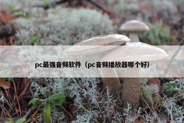 pc最强音频软件（pc音频播放器哪个好）