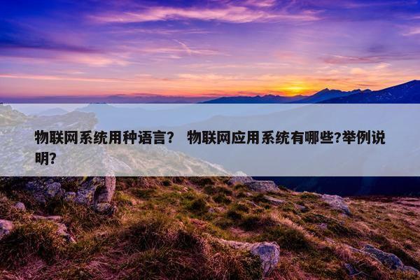 物联网系统用种语言？ 物联网应用系统有哪些?举例说明？
