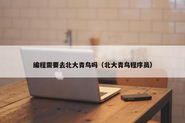 编程需要去北大青鸟吗（北大青鸟程序员）