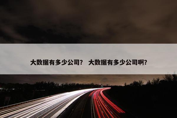 大数据有多少公司？ 大数据有多少公司啊？