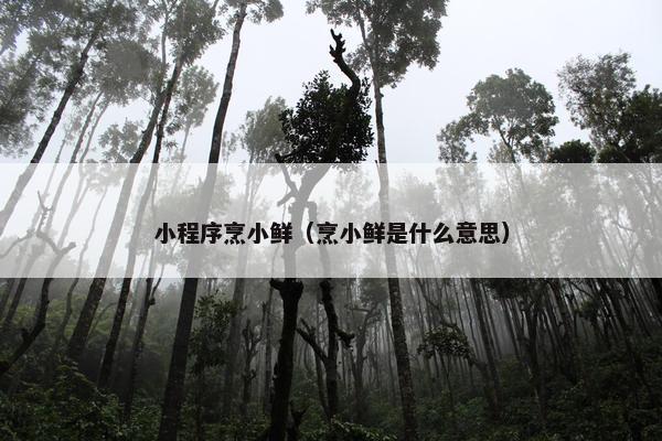 小程序烹小鲜（烹小鲜是什么意思）