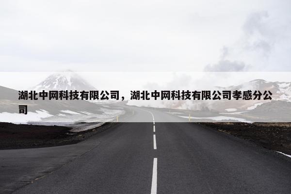 湖北中网科技有限公司，湖北中网科技有限公司孝感分公司