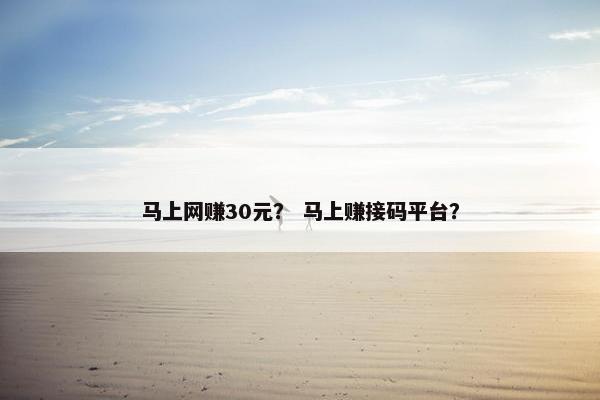马上网赚30元？ 马上赚接码平台？