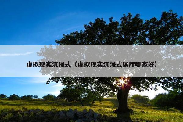 虚拟现实沉浸式（虚拟现实沉浸式展厅哪家好）