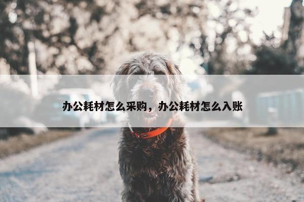 办公耗材怎么采购，办公耗材怎么入账