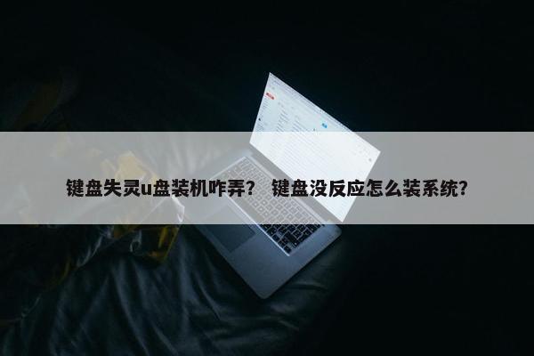 键盘失灵u盘装机咋弄？ 键盘没反应怎么装系统？