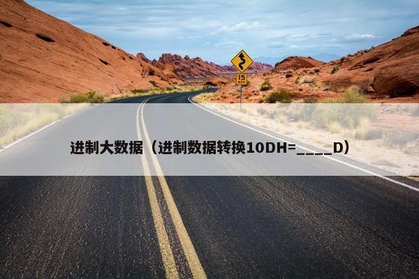 进制大数据（进制数据转换10DH=____D）