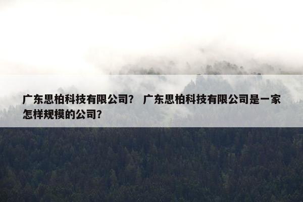 广东思柏科技有限公司？ 广东思柏科技有限公司是一家怎样规模的公司？