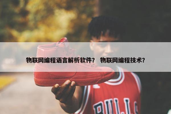 物联网编程语言解析软件？ 物联网编程技术？