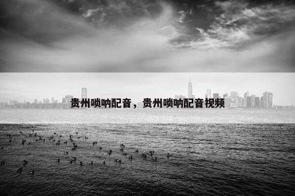 贵州唢呐配音，贵州唢呐配音视频