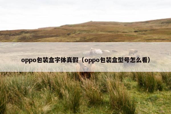 oppo包装盒字体真假（oppo包装盒型号怎么看）