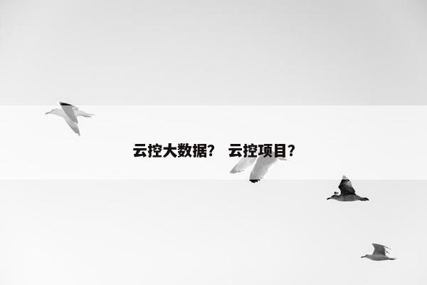 云控大数据？ 云控项目？