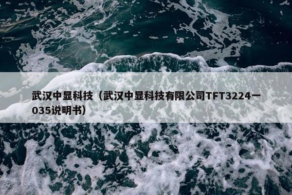 武汉中显科技（武汉中显科技有限公司TFT3224一035说明书）