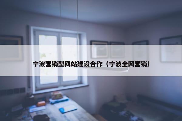 宁波营销型网站建设合作（宁波全网营销）
