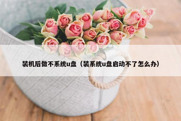 装机后做不系统u盘（装系统u盘启动不了怎么办）