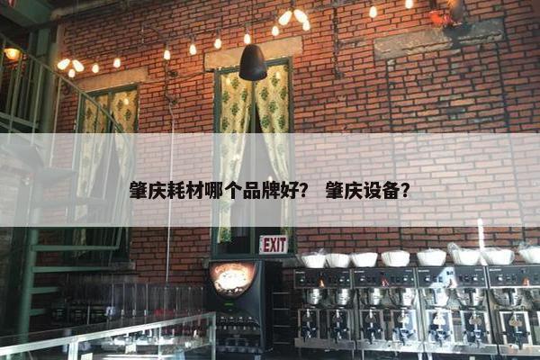 肇庆耗材哪个品牌好？ 肇庆设备？