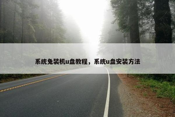 系统兔装机u盘教程，系统u盘安装方法