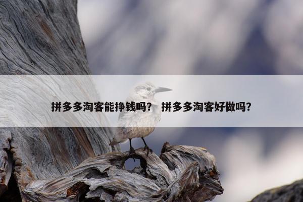 拼多多淘客能挣钱吗？ 拼多多淘客好做吗？