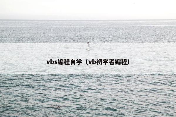 vbs编程自学（vb初学者编程）