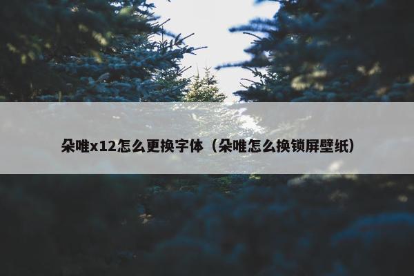 朵唯x12怎么更换字体（朵唯怎么换锁屏壁纸）