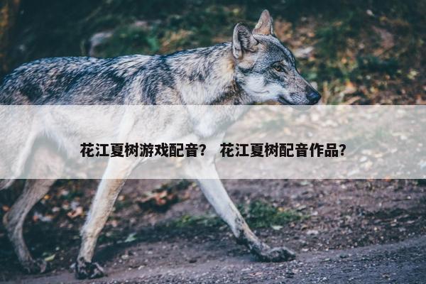 花江夏树游戏配音？ 花江夏树配音作品？
