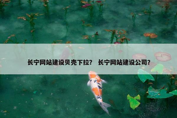 长宁网站建设贝壳下拉？ 长宁网站建设公司？