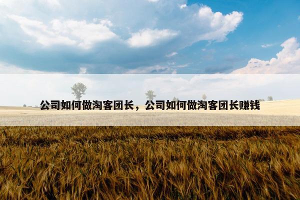 公司如何做淘客团长，公司如何做淘客团长赚钱