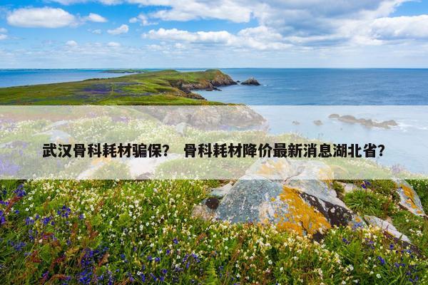 武汉骨科耗材骗保？ 骨科耗材降价最新消息湖北省？